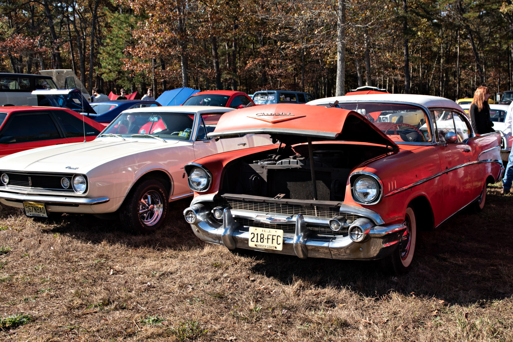 110319_nws_pumpkinrun